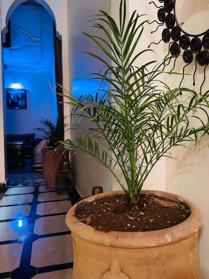 Riad Ms Holidays Terrasse Privatise Marrakech 마라케시 외부 사진