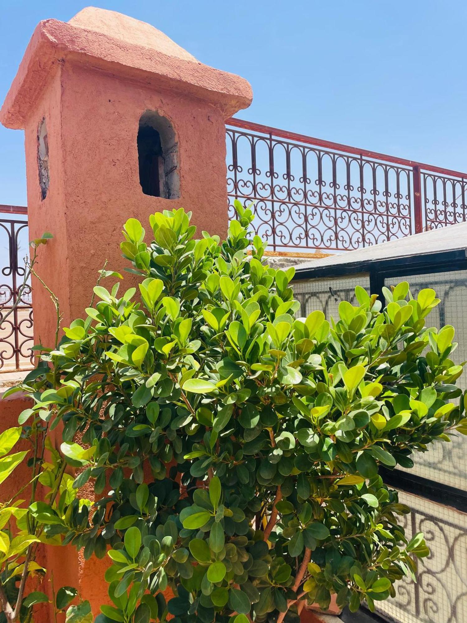 Riad Ms Holidays Terrasse Privatise Marrakech 마라케시 외부 사진