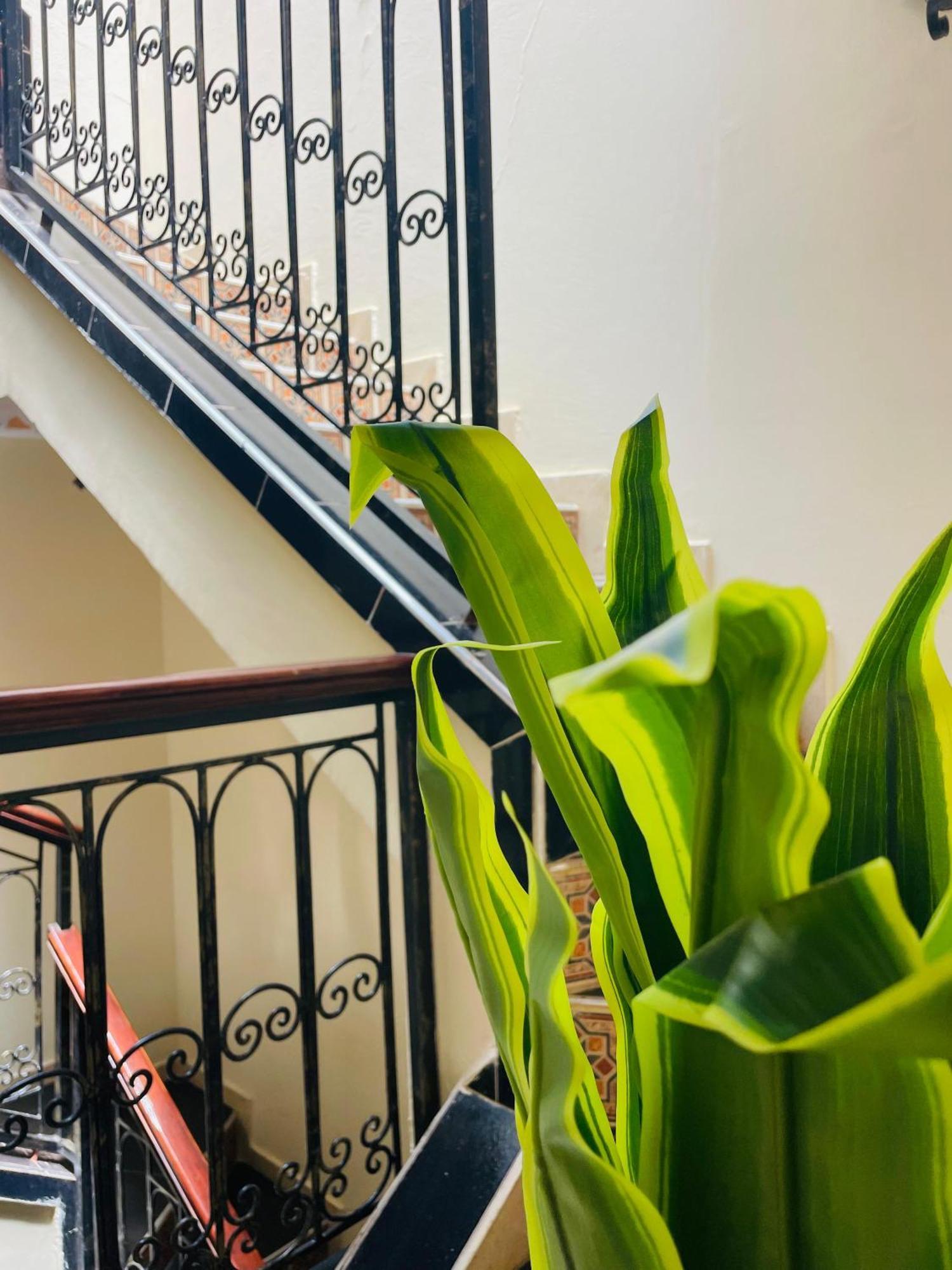Riad Ms Holidays Terrasse Privatise Marrakech 마라케시 외부 사진